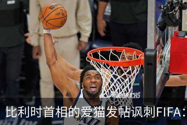 比利时首相的爱猫发帖讽刺FIFA：“红牌？”我照样继续踢！