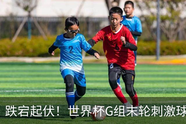 跌宕起伏！世界杯G组末轮刺激球迷心脏 伊朗狂喜过后遭打击